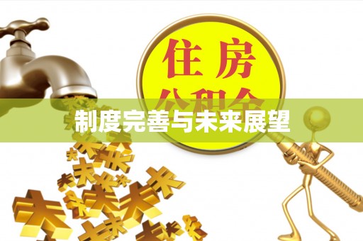 襄汾制度完善与未来展望