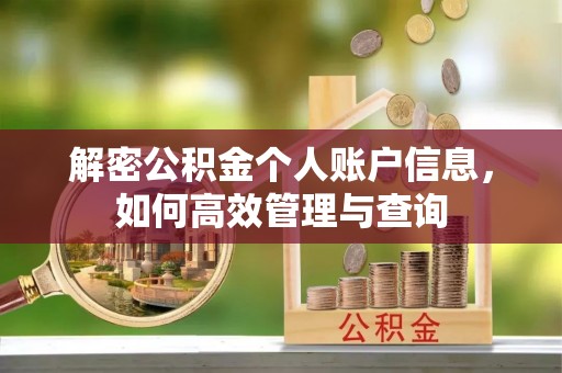 襄汾解密公积金个人账户信息，如何高效管理与查询