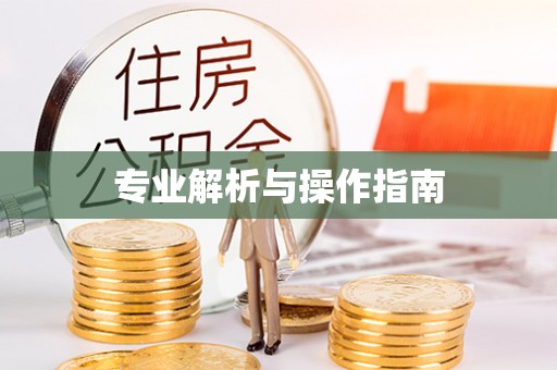 襄汾专业解析与操作指南
