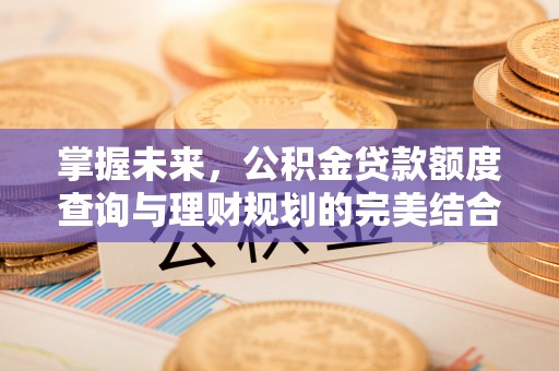 襄汾掌握未来，公积金贷款额度查询与理财规划的完美结合