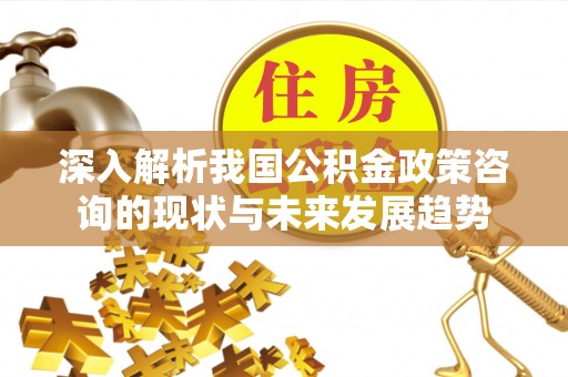襄汾深入解析我国公积金政策咨询的现状与未来发展趋势