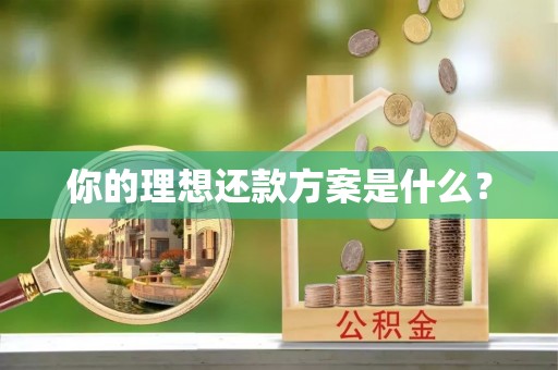 襄汾你的理想还款方案是什么？