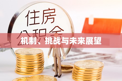 襄汾机制、挑战与未来展望
