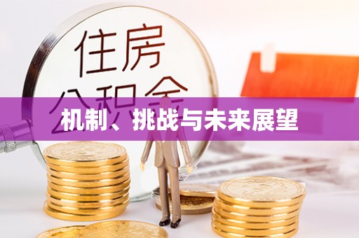 襄汾机制、挑战与未来展望